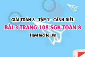 Giải bài 3 trang 108 Toán 8 Tập 1 SGK Cánh Diều